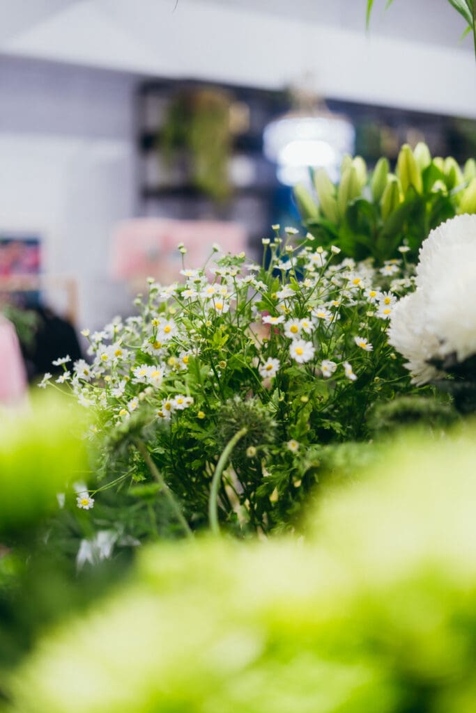 Fresh Chamomile inside the store at The Willow Branch. The best florist in Gippsland and Melbourne. Captured by Ebb and Flow Photography