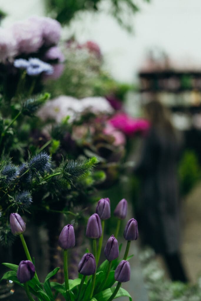 Inside the store at The Willow Branch. The best florist in Gippsland and Melbourne. Captured by Ebb and Flow Photography