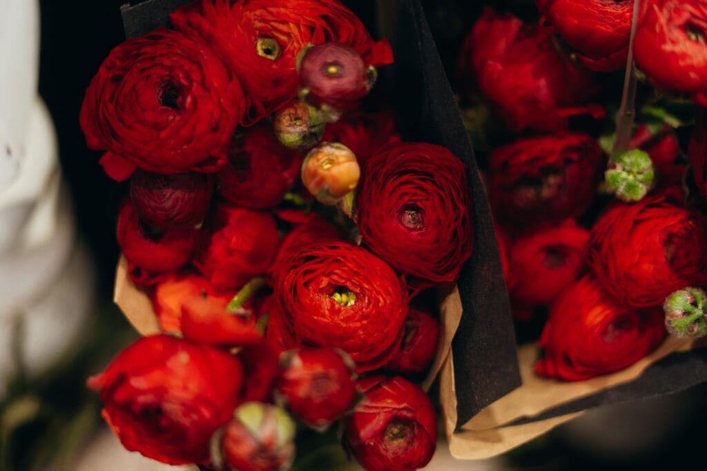 Fresh ranunculus inside the store at The Willow Branch. The best florist in Gippsland and Melbourne. Captured by Ebb and Flow Photography