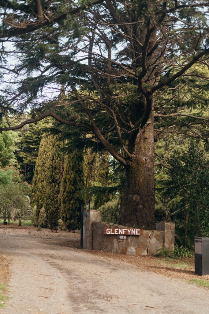 Stone gates and symmetrical cyprus create an Old Money style entry at Glenfyne Weddings in Gippsland, photo by Ebb and Flow Photography